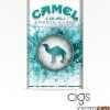 Camel Crush Smooth Silver