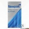 Newport Platinum Silver 100s